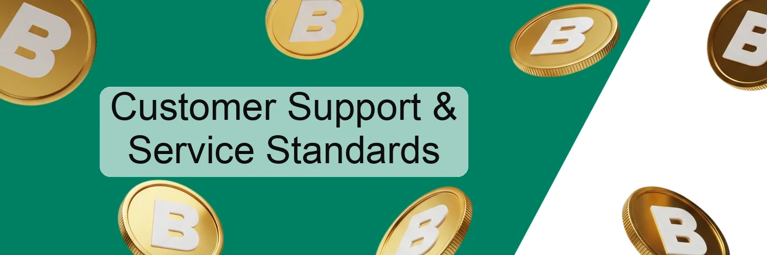 Customer Support & Service Standards